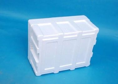 Light - Berat Rantai Dingin Suhu Controlled Kemasan 17 "X13" X8.5"